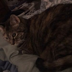 Meet your Posher, Hope